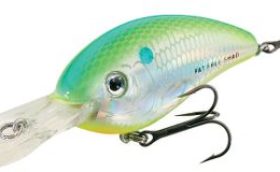 Crankbait