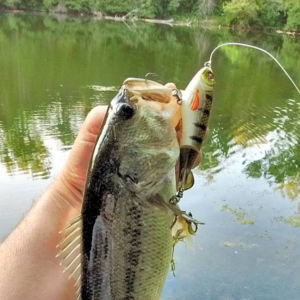 River2Sea Whopper Plopper
